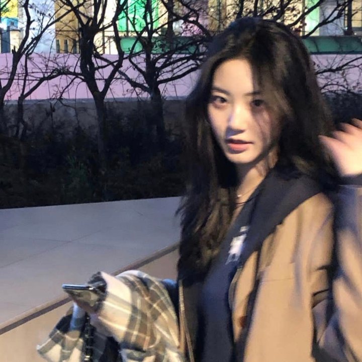 奥运会帆船赛明星
